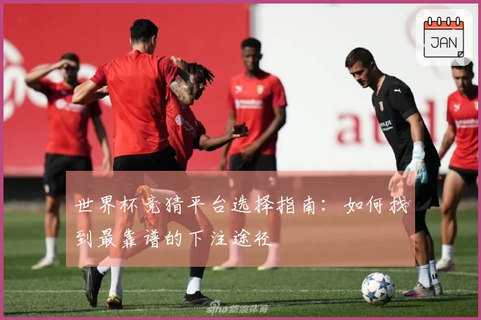 世界杯竞猜平台选择指南：如何找到最靠谱的下注途径