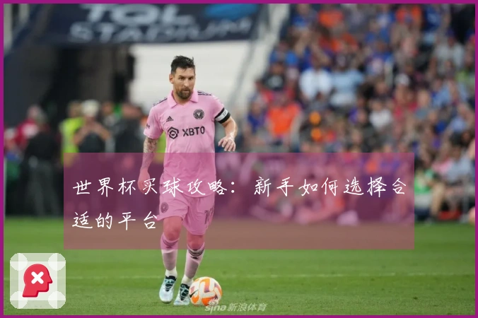 世界杯买球攻略：新手如何选择合适的平台