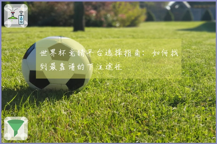 世界杯竞猜平台选择指南：如何找到最靠谱的下注途径