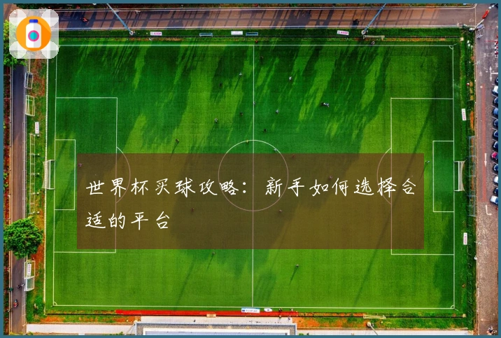 世界杯买球攻略：新手如何选择合适的平台