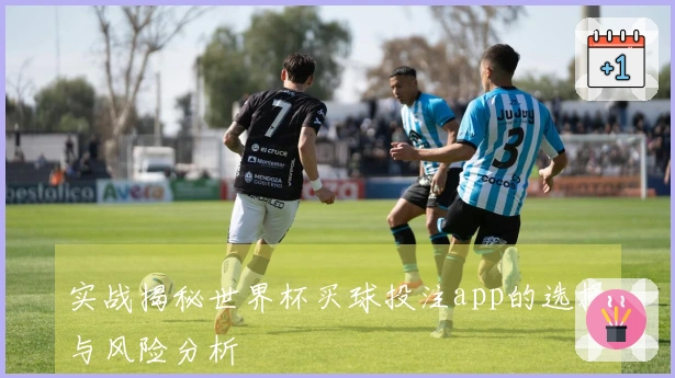 实战揭秘世界杯买球投注app的选择与风险分析